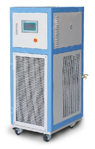 e9383509e7.jpg 31D.jpg